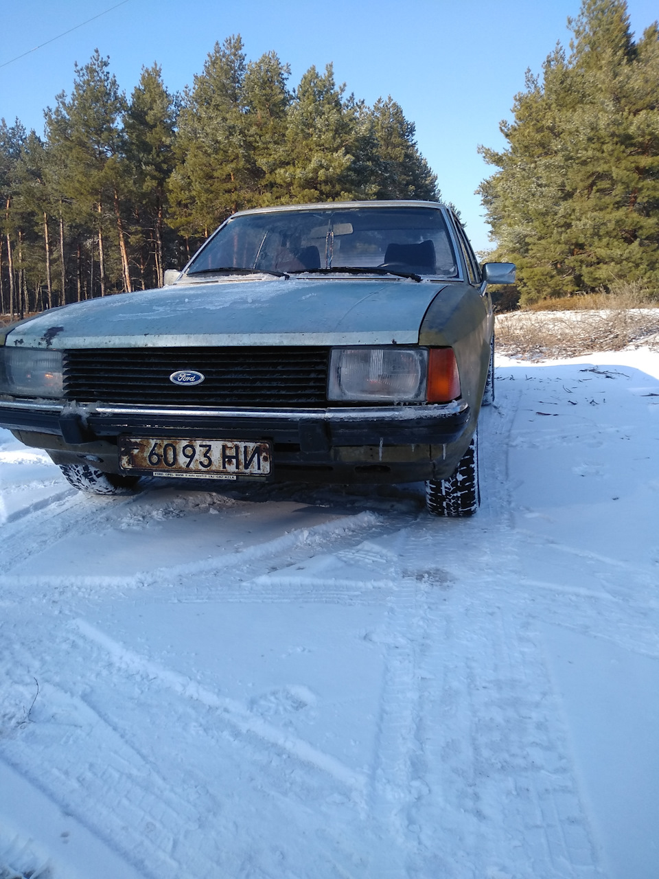 Зима ліс 2