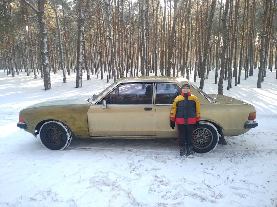 Зима ліс 5