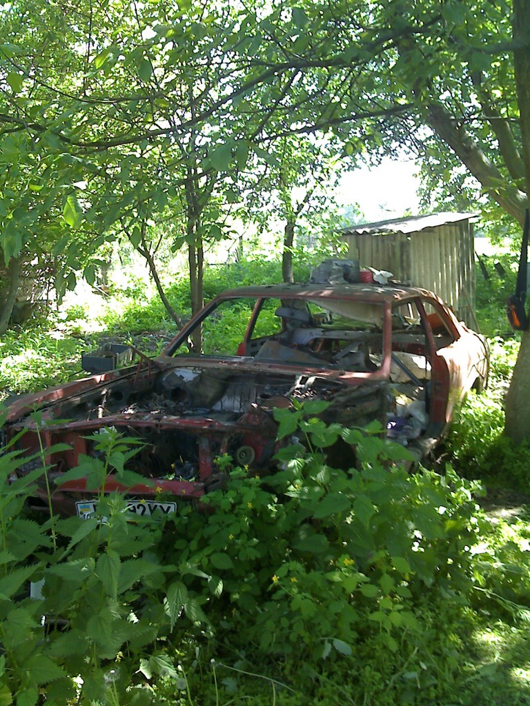 Нелегка доля донора. 5