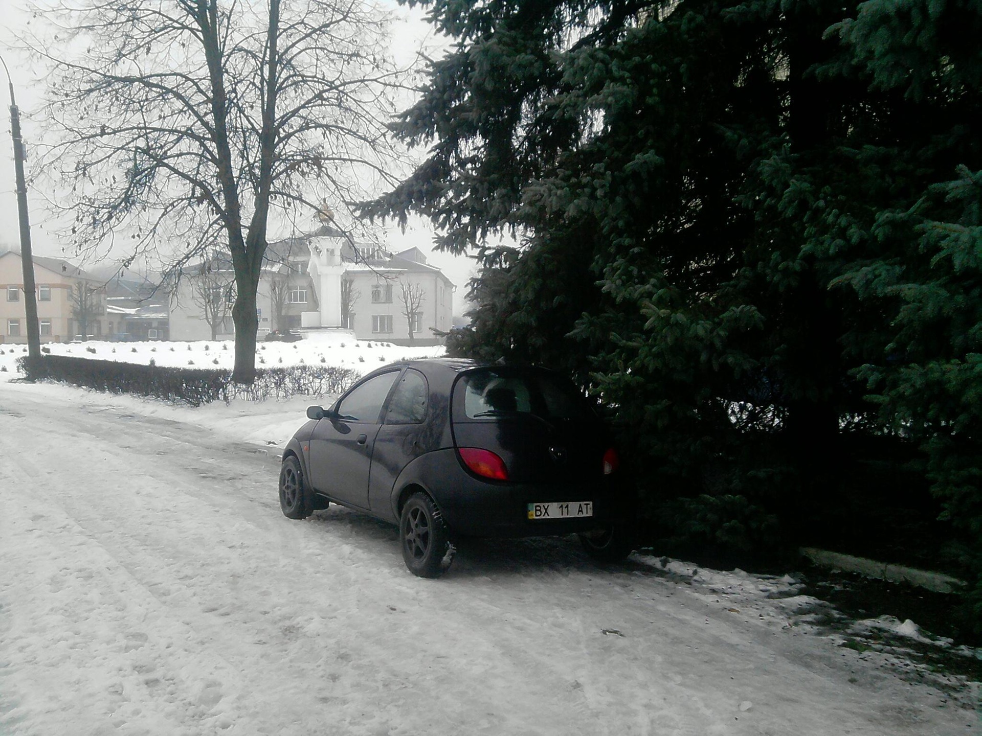 КАШКА взимку (фото) 5