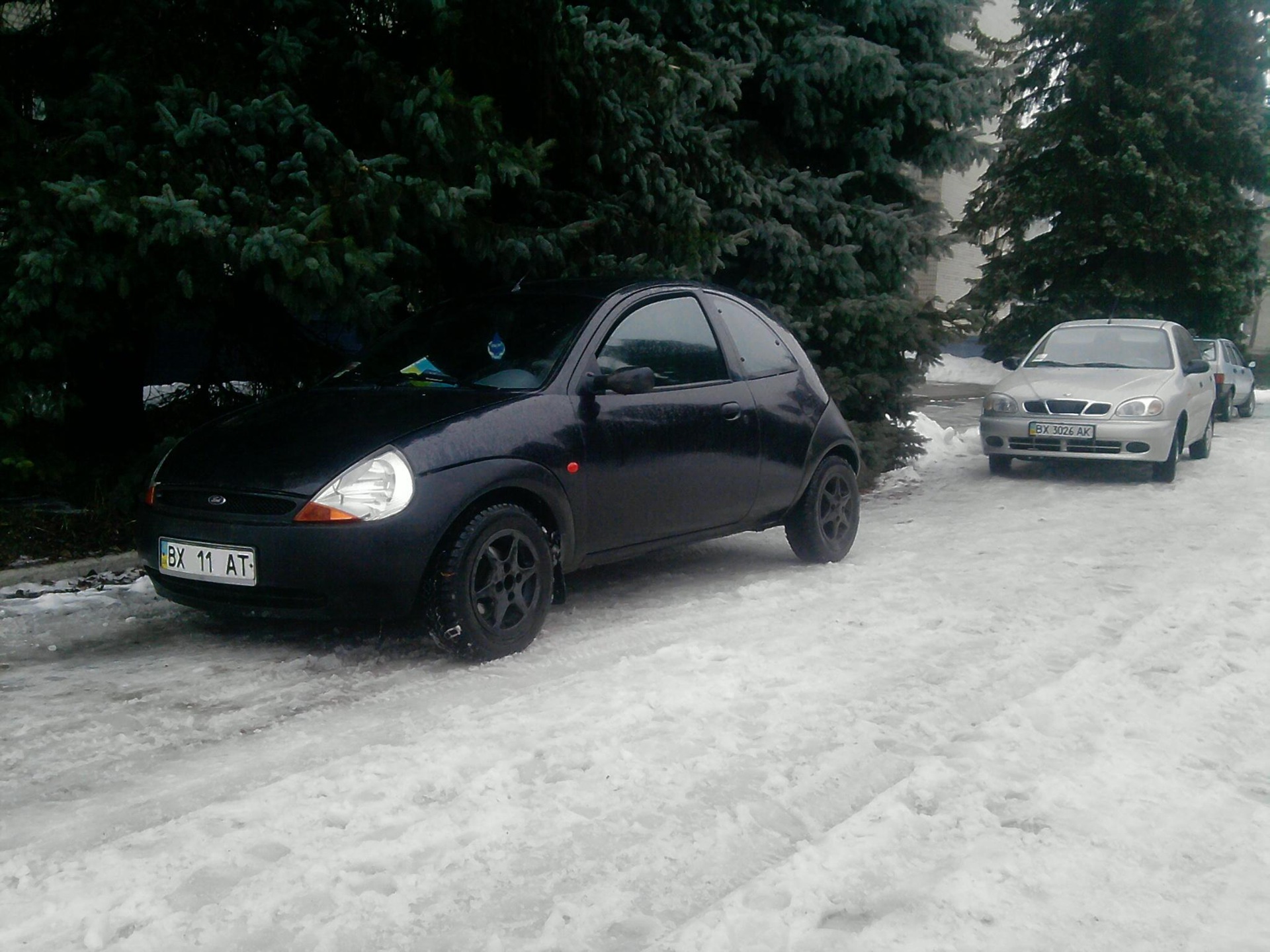 КАШКА взимку (фото) 1