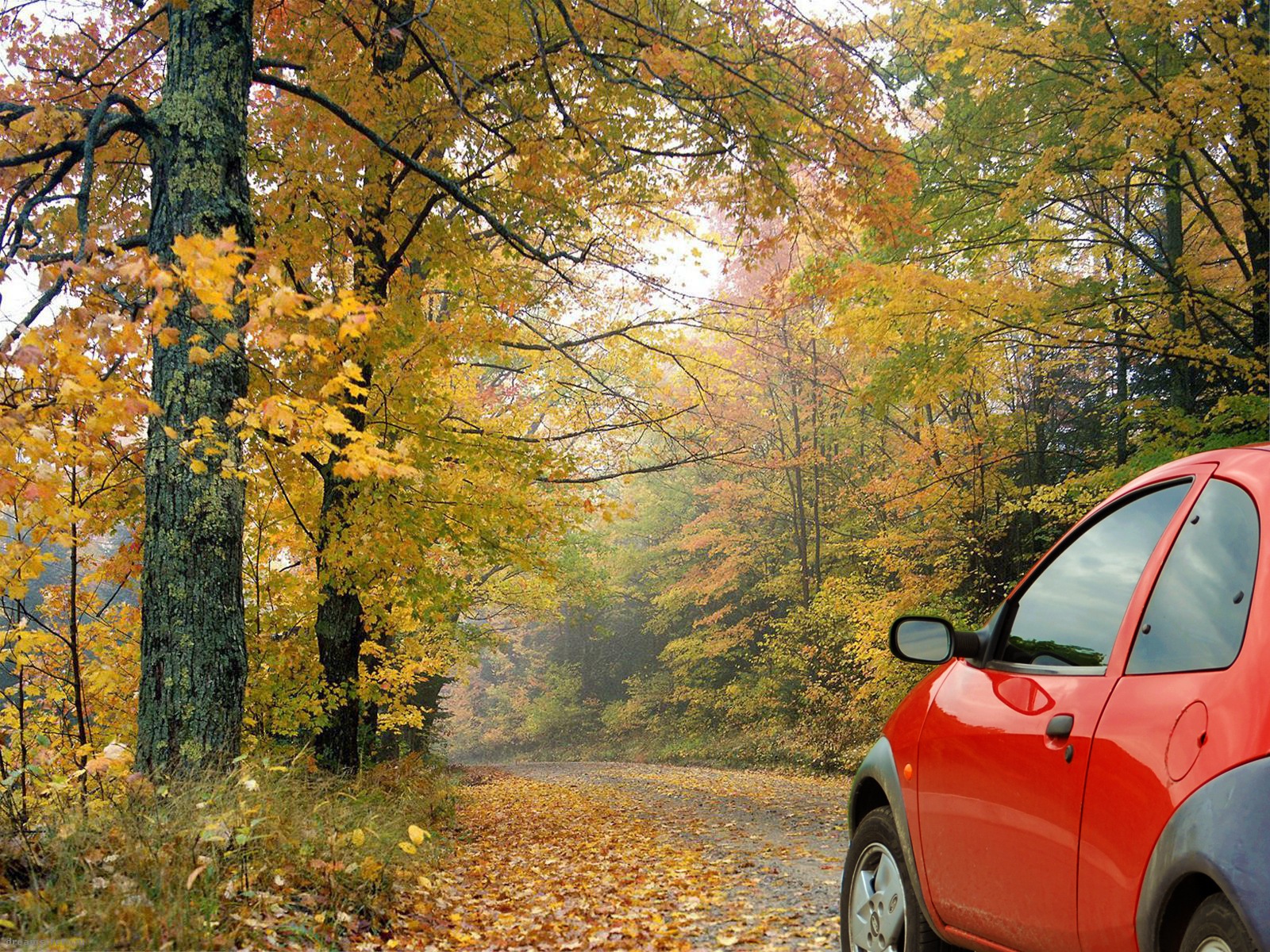 Фотообробка для Ford Ka Super K@ 1