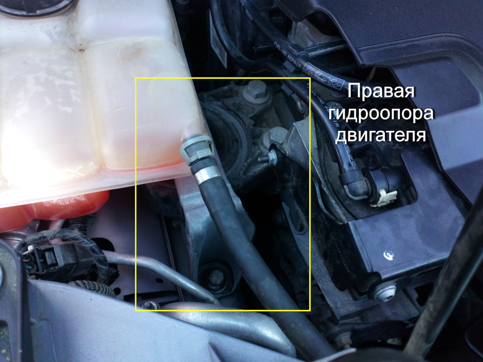 Заміна правої опори двигуна TDCi 2.0 (Ford Kuga 1 st generation) 2