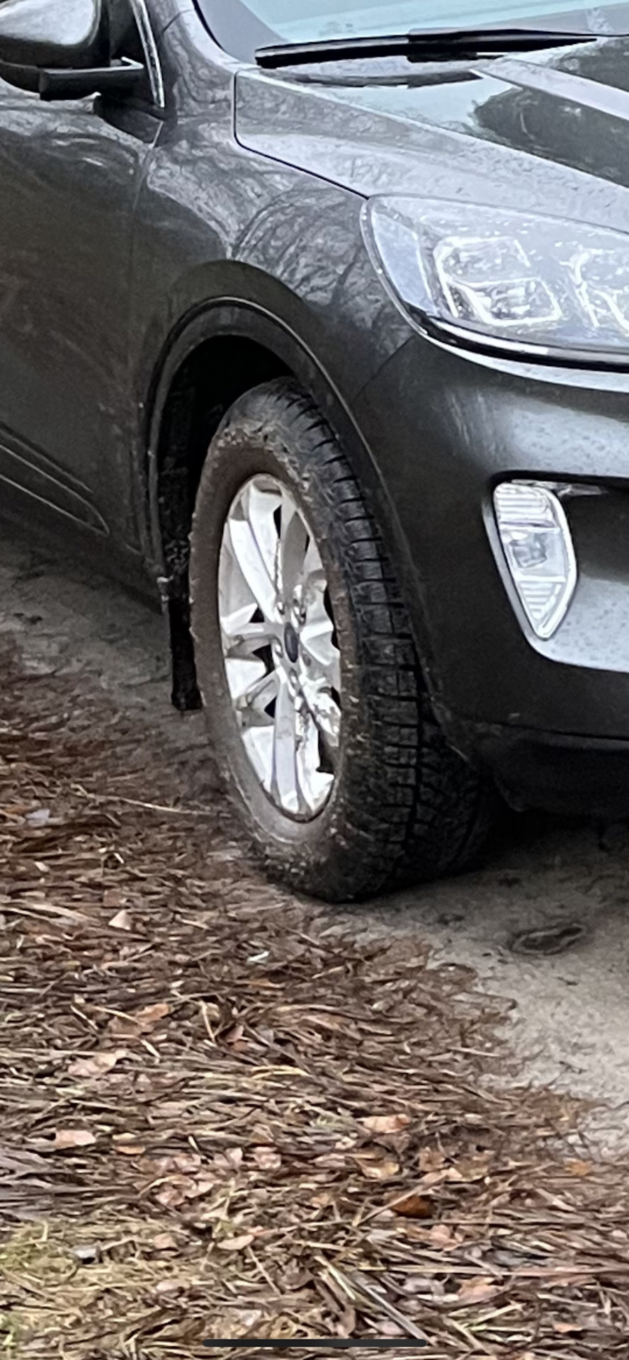Перші 1к км на зимових Goodyear UltraGrip Performance+ SUV 225/65 R17 102H 1