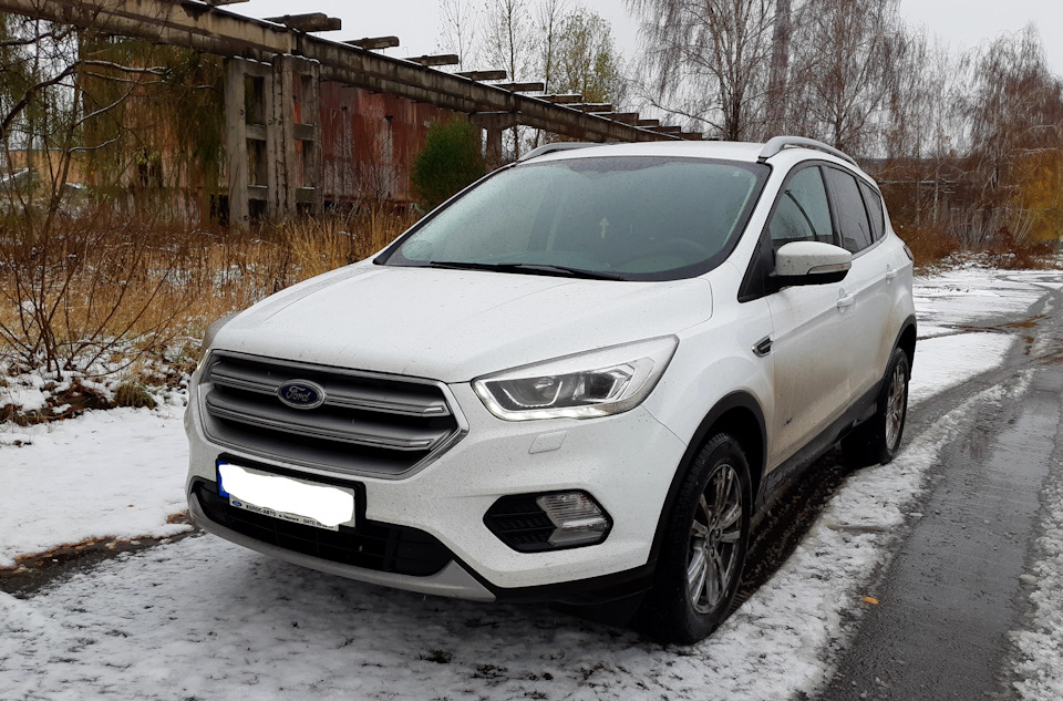 № 11. Перша зима Куги 5