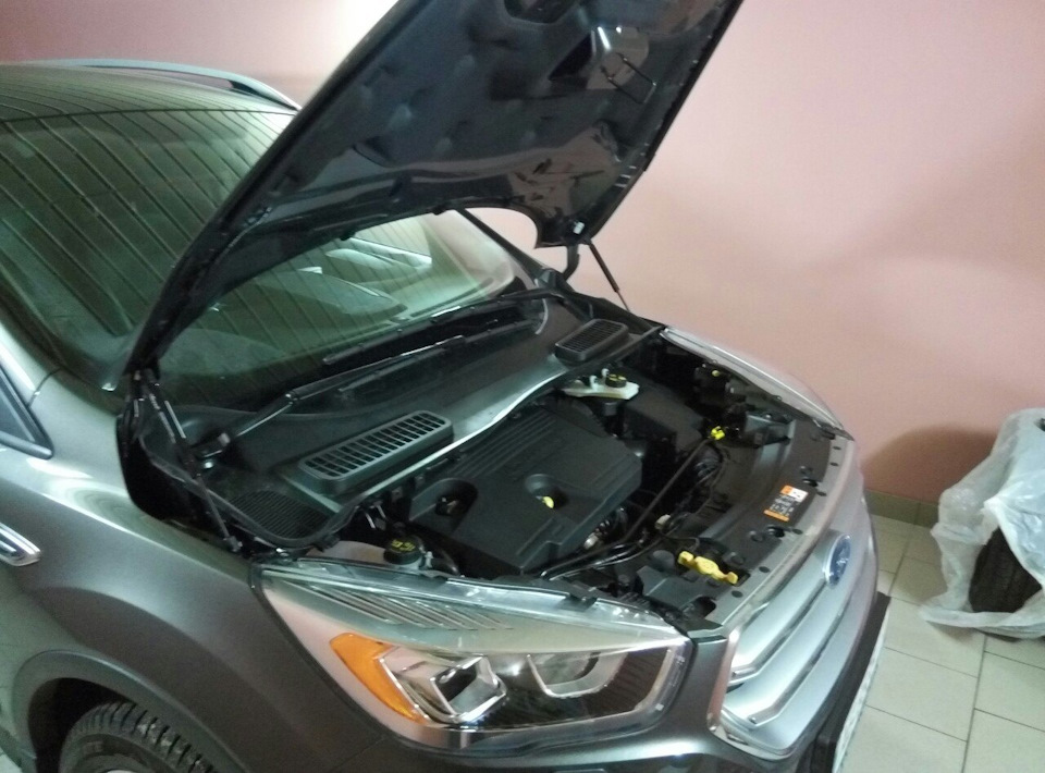 Упори капота Kuga 2 3