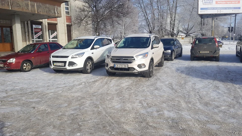 White Platinum vs Frozen White
