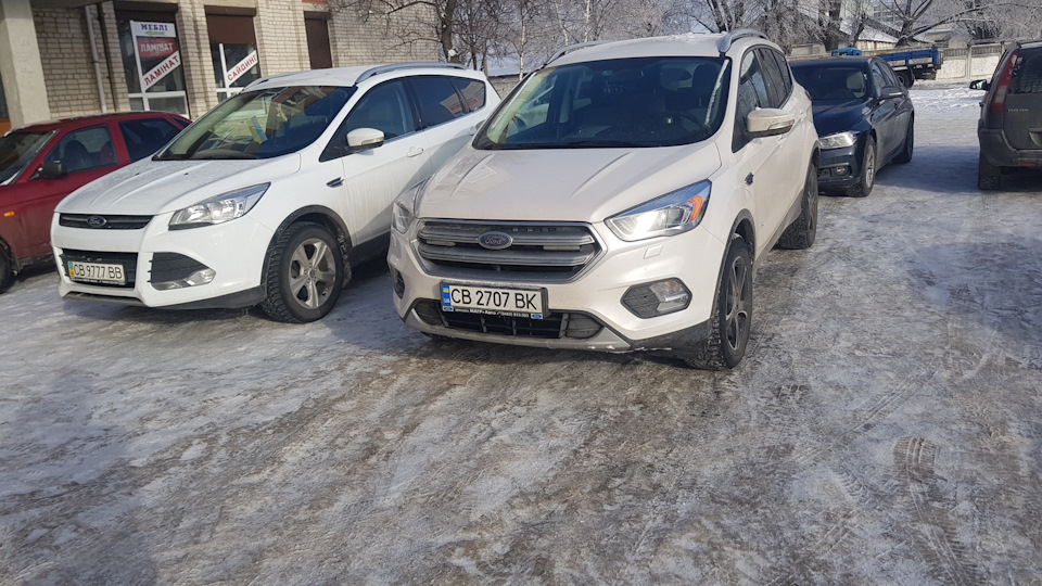 White Platinum vs Frozen White 4