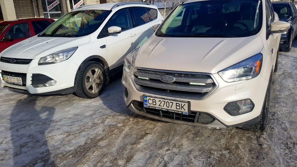 White Platinum vs Frozen White 2