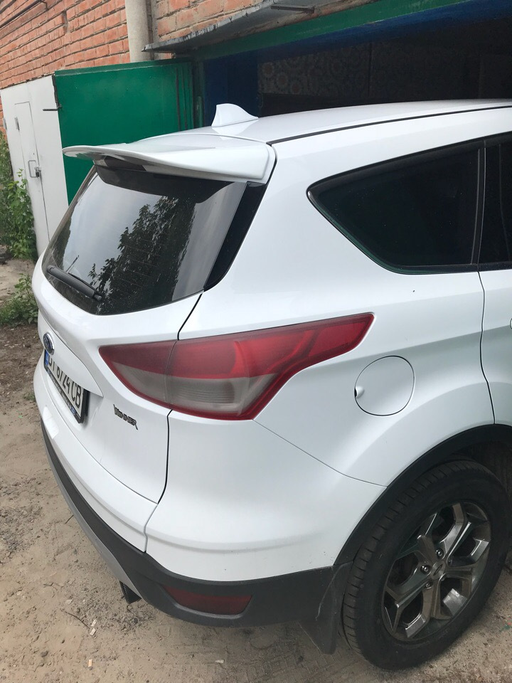 Плавник на Кугаря 1
