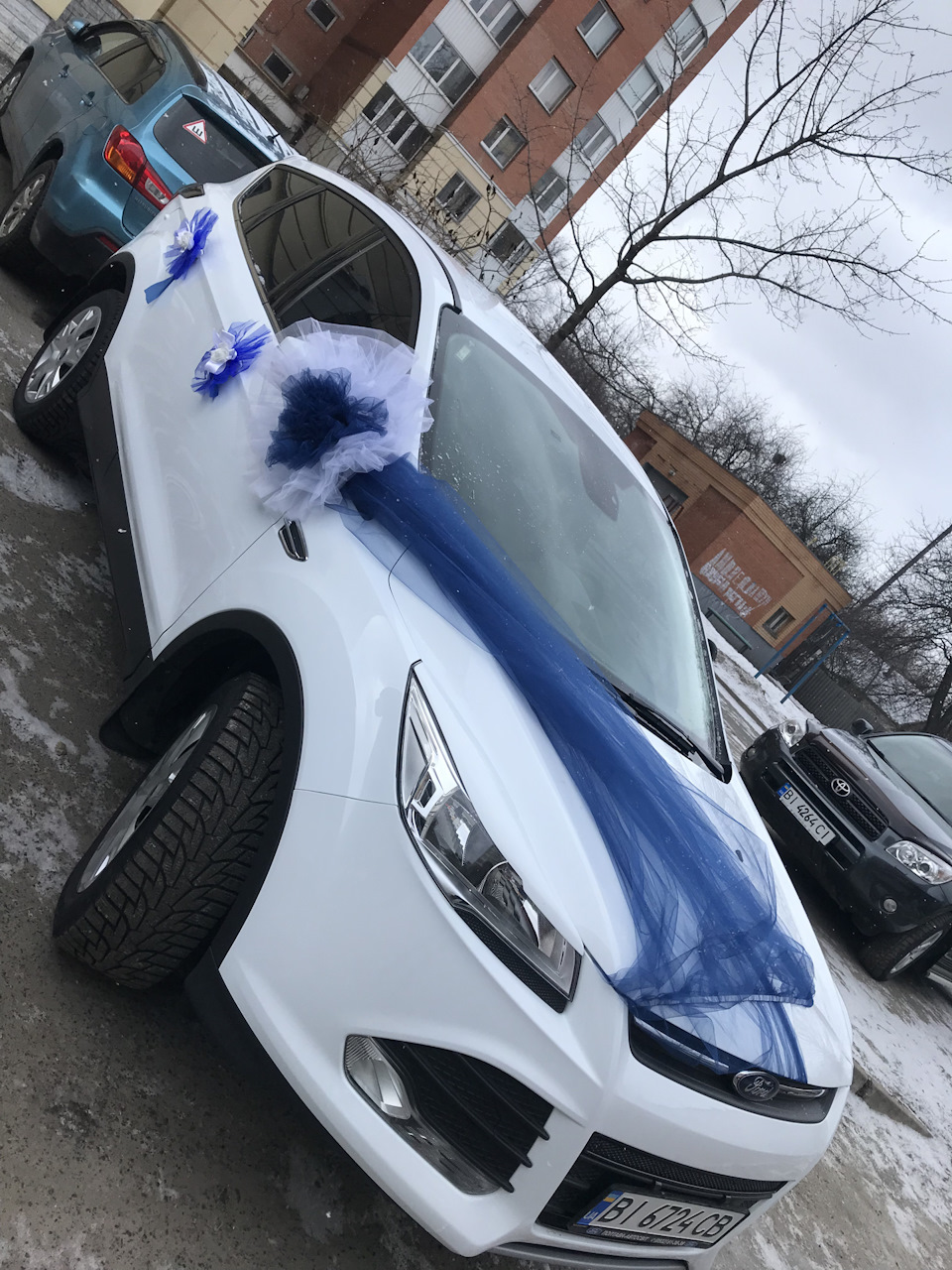 Весільний Куг 😲 1