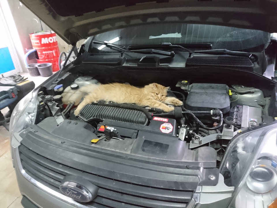 AWD справна, начебто ... 2