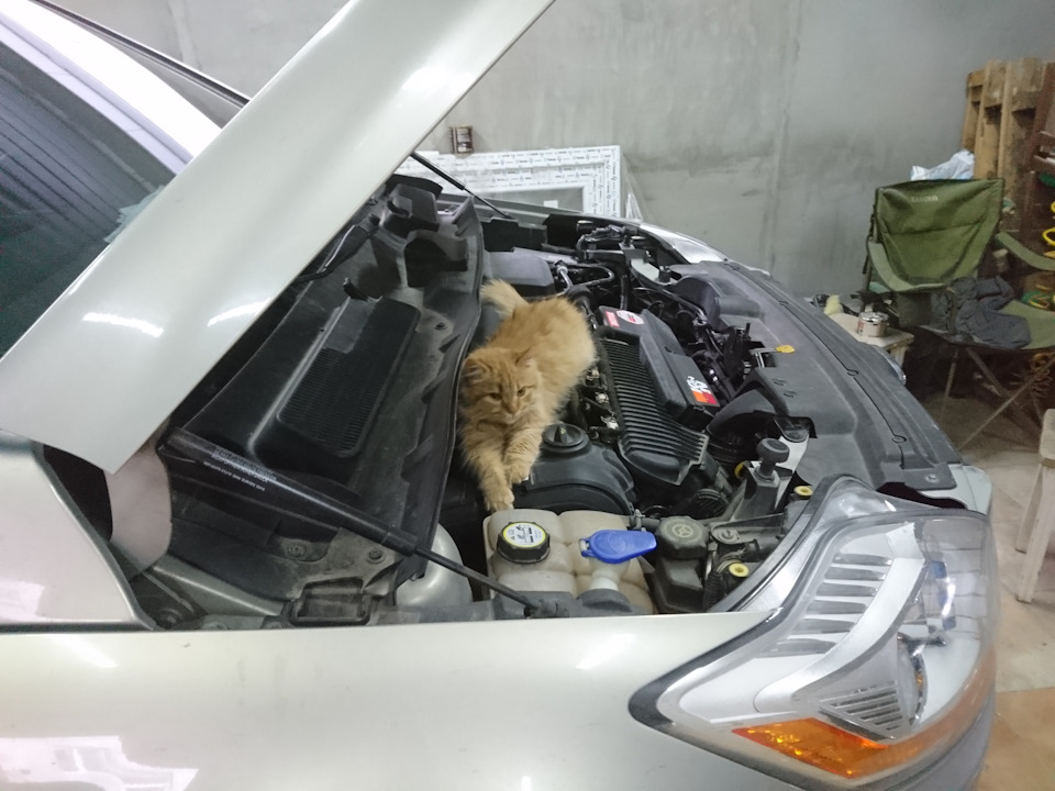 AWD справна, начебто ... 4