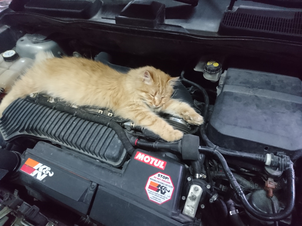 AWD справна, начебто ... 3