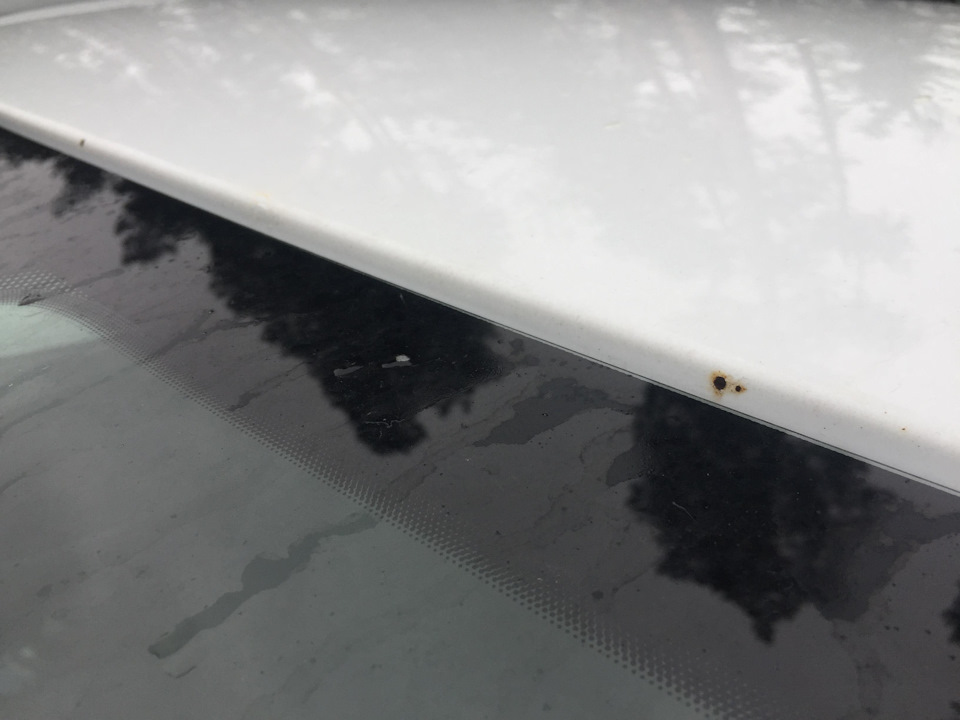 Видалення жуків, сколів на ЛКП Ford Kuga 2.0 TDI 3