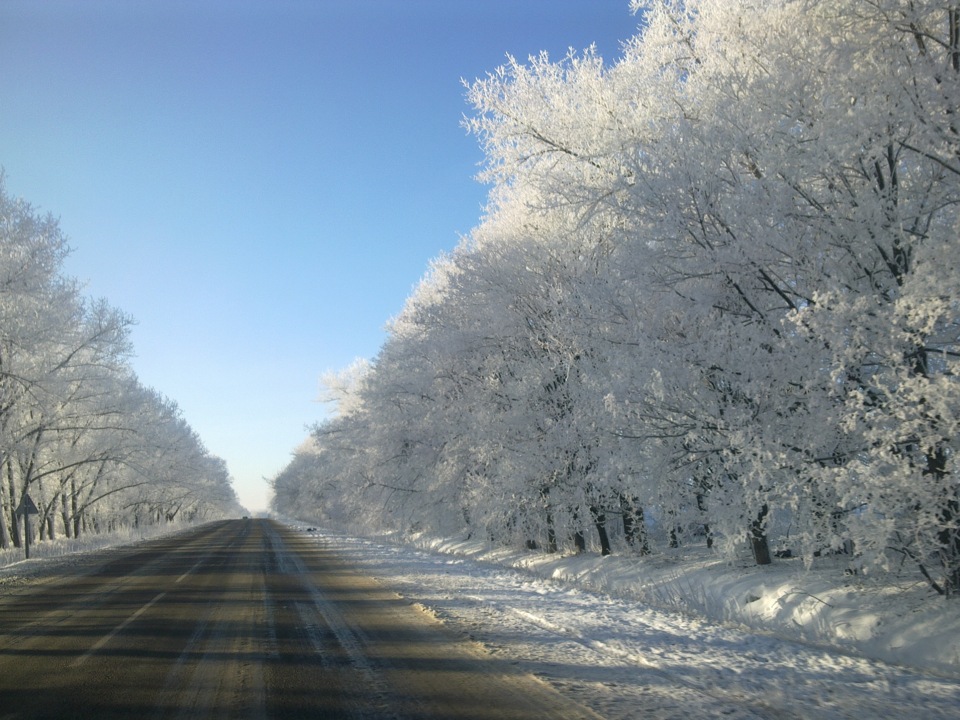С'їздив в ліс :) 2