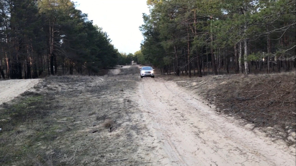 Поездка в лес 🌳 1
