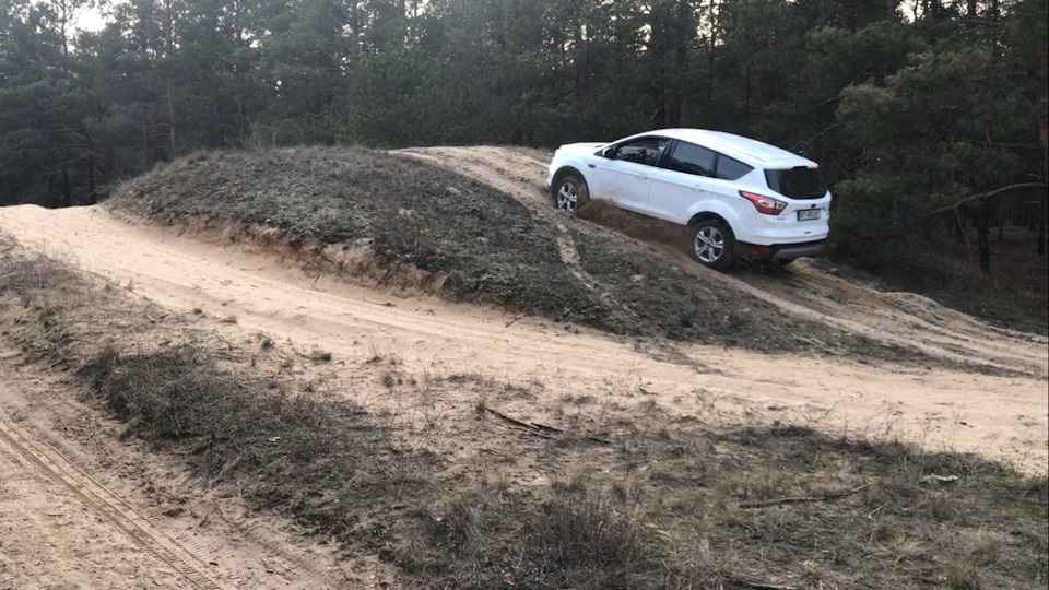 Поездка в лес 🌳 2