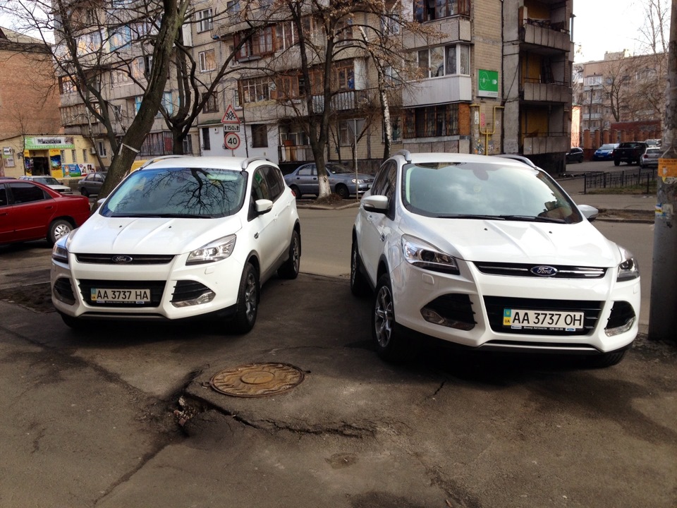 Рідневі зв'язки 1