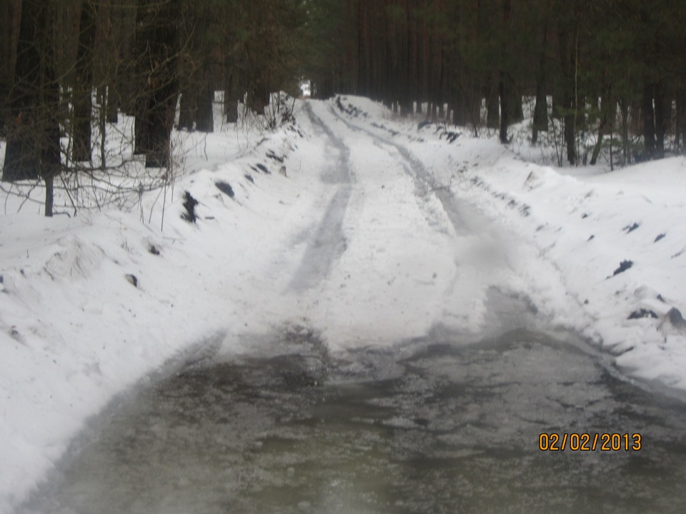 Вілазка на Нивці бістро але в Акурат 2