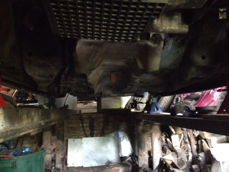 5 день без ST220 PB 4