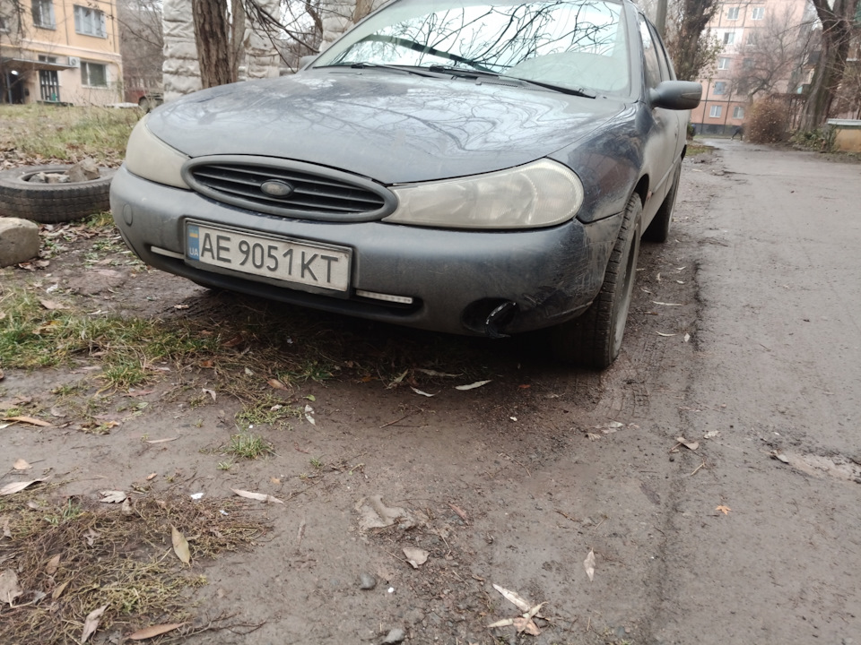 Бійтеся собак! 2