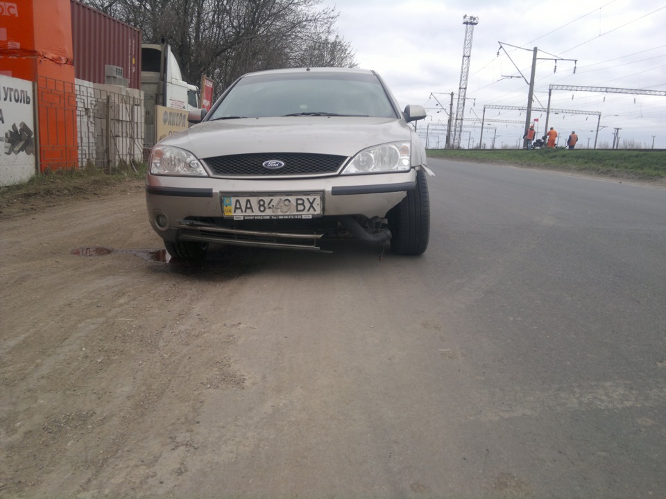 Бережіться СОБАК! 1