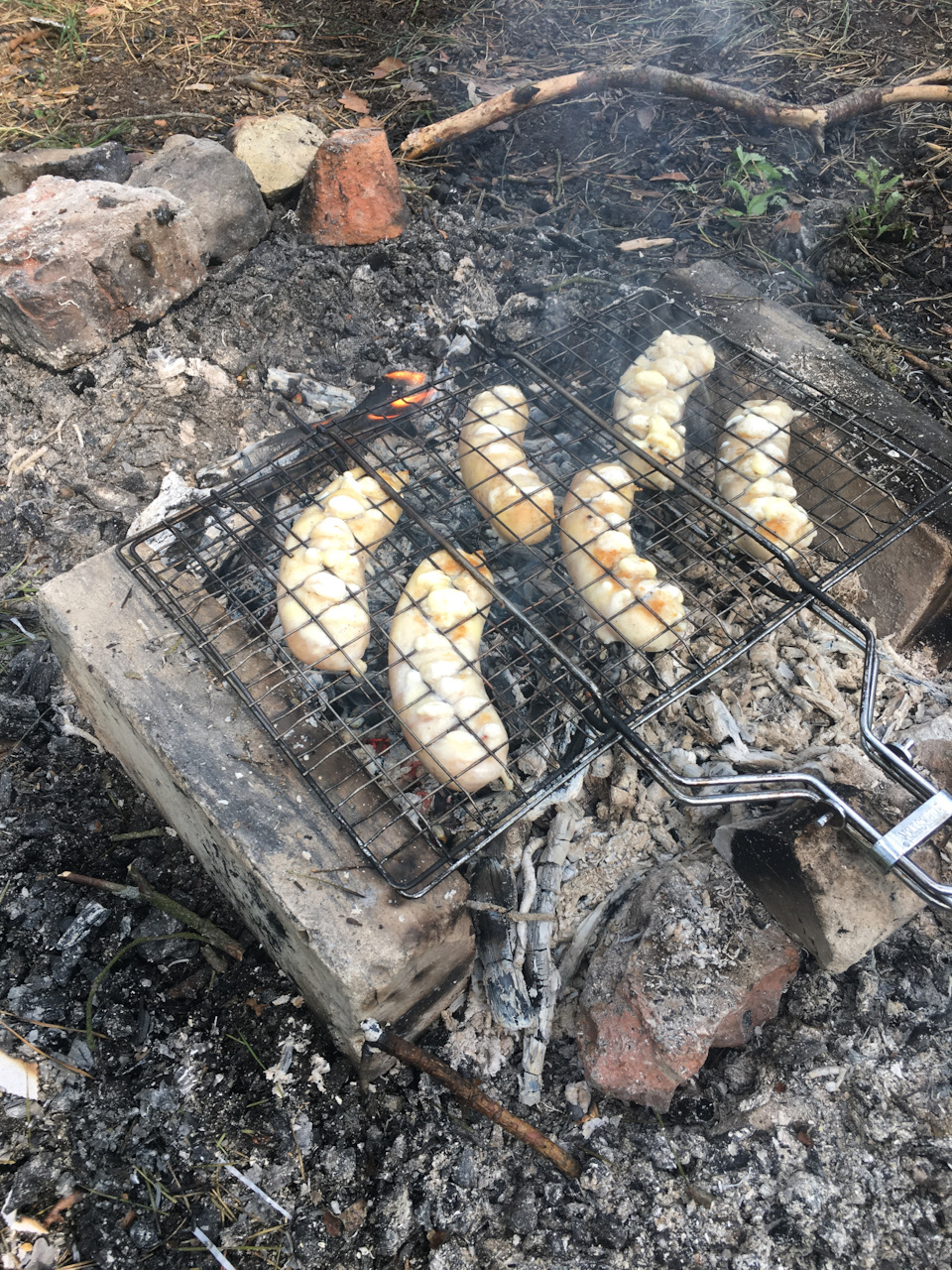 Поїздка до лісу 5