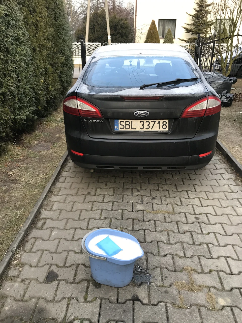Моєму моєму сажотруса чисто чисто…