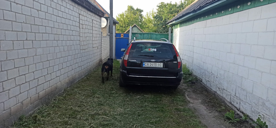 Потрібна порада. 2