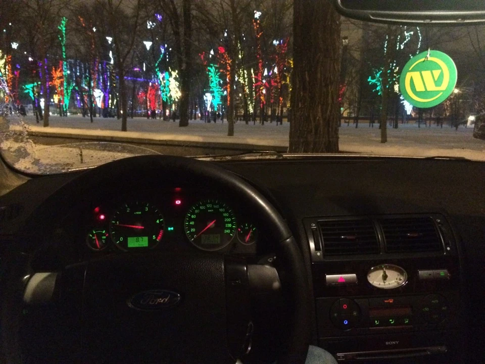 Зимова прогулянка