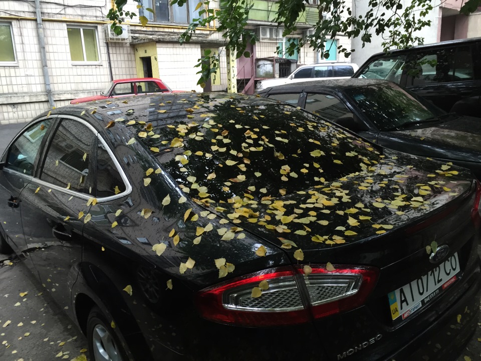 Літо - Осінь 2015 1