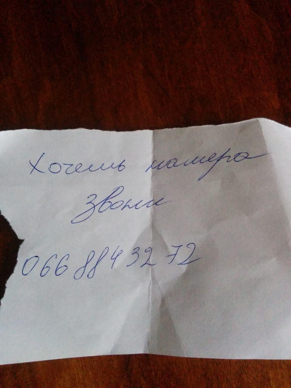 Суки зняли номери. 2