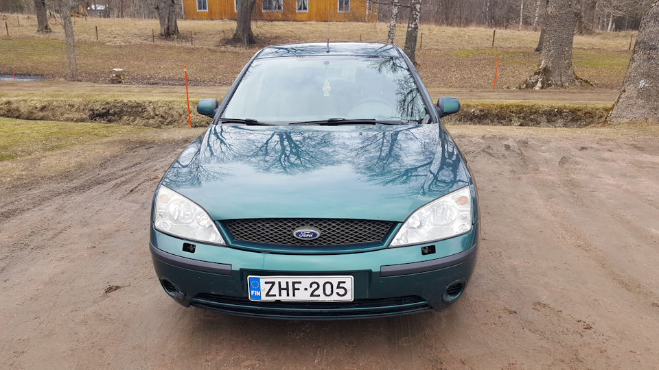 Переобул, помив, попилососив, купив фарбу 4