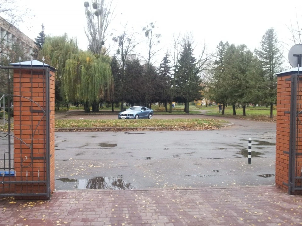 Зустрілися з другом ... помирали від нудьги))