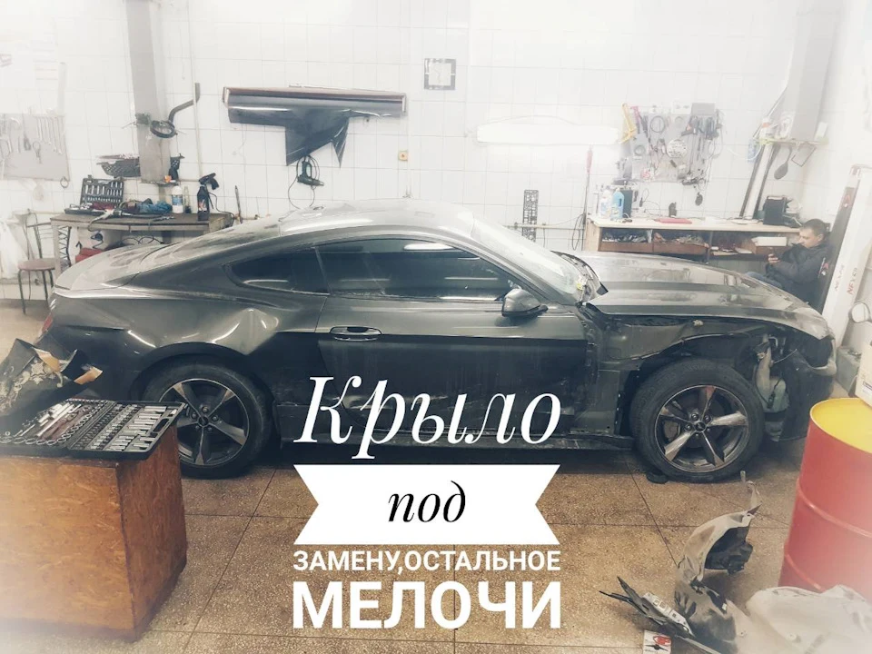 Починаємо дефектування)