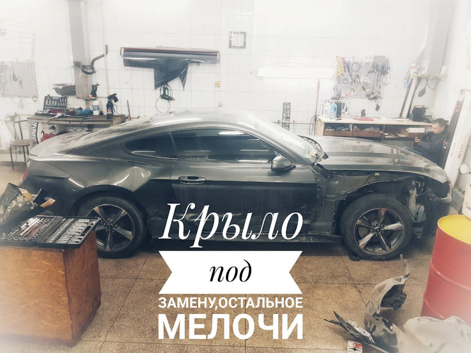 Починаємо дефектування) 1