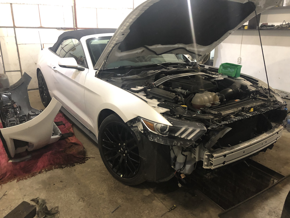 Arrow Sequential Mustang LED 2