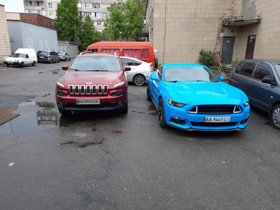 Тепер легальний 1