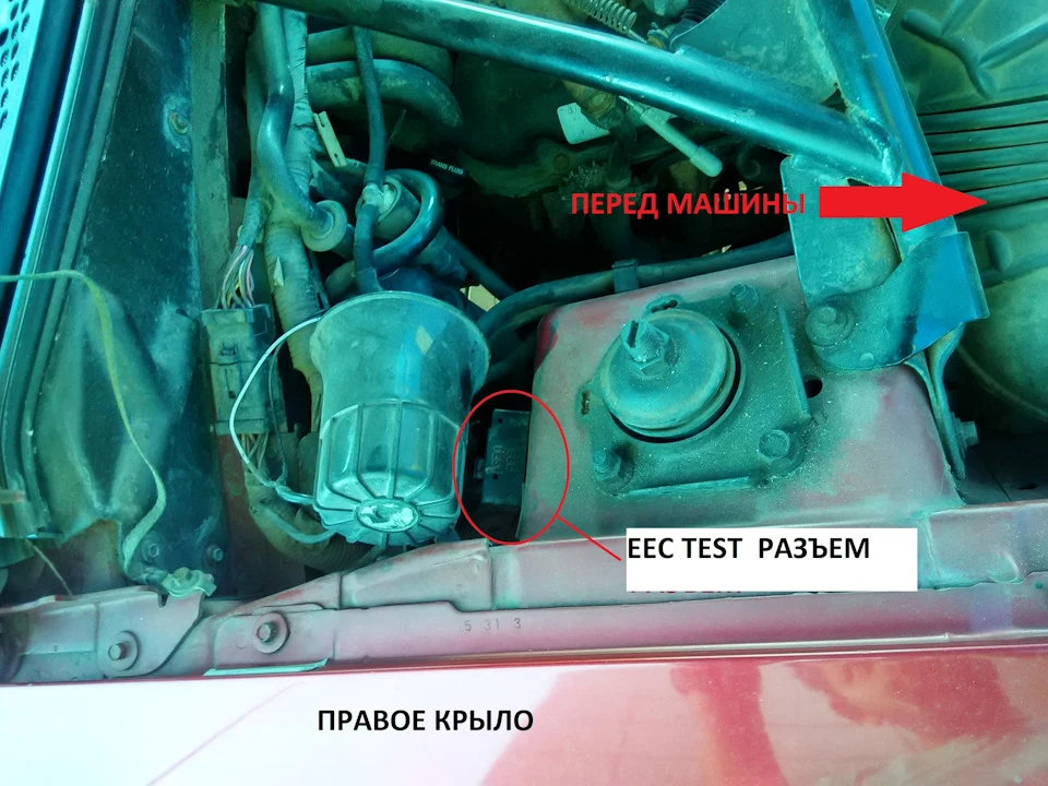 Скріпочний тест або сам собі діагност