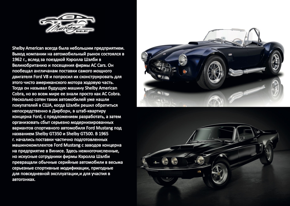 Shelby, Bullit, Eleanor 3