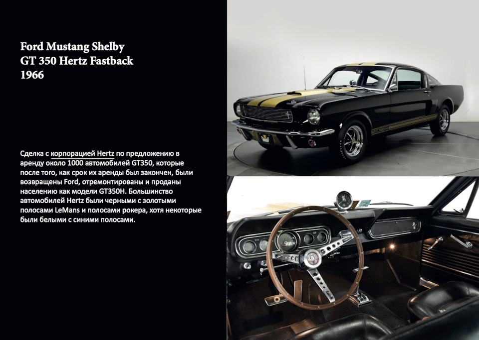 Shelby, Bullit, Eleanor 5