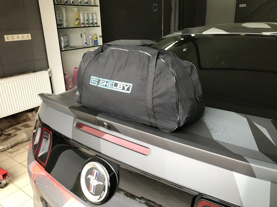 Car Cover Shelby або в чому зустрічатимемо зиму