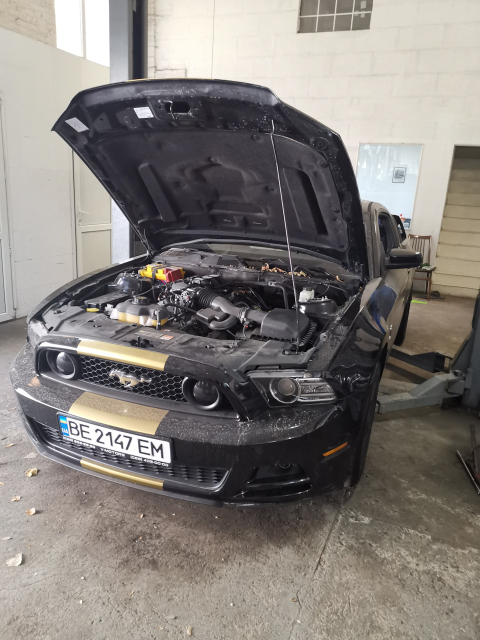 Хотів Talisman, а взяв Mustang))) 1