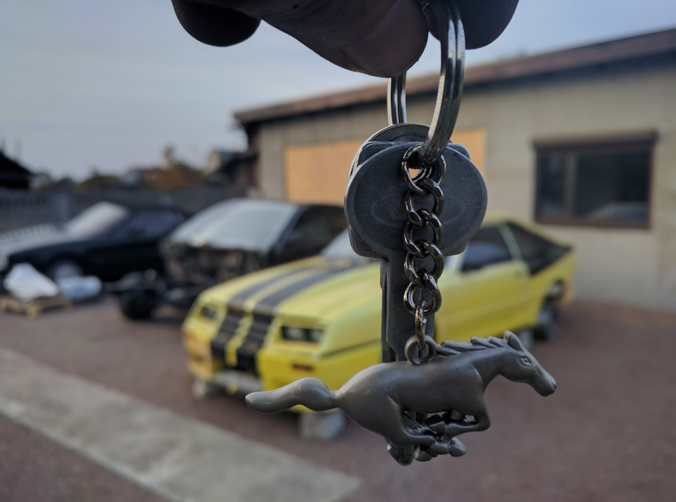 Розгріб авгієві стайні салону 5
