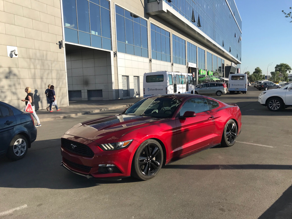 Пружини Eibach Sportline і трохи жогова 5