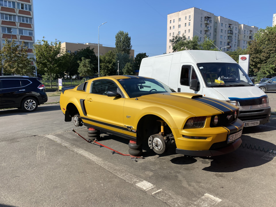 Нові тапки - bullitt 2