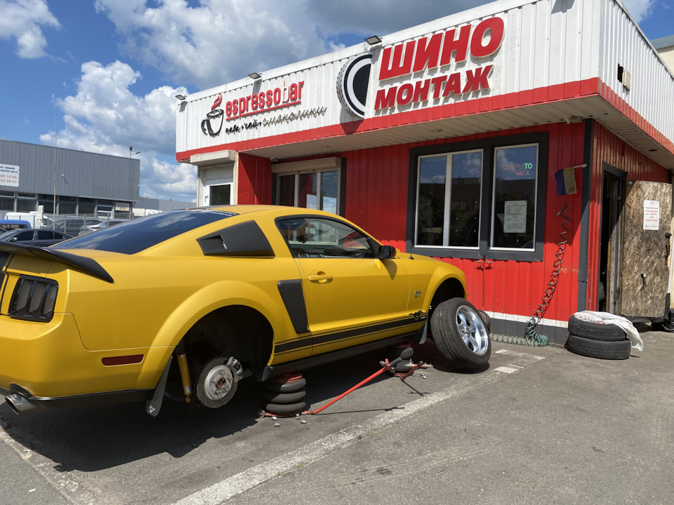 Нові тапки - bullitt 3