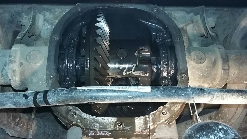 І знову говножижа… 1