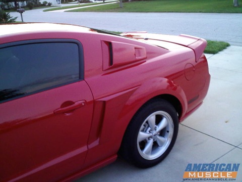 Замовлений впуск, випуск, мініантена, зябра та ін дрібниці. 5